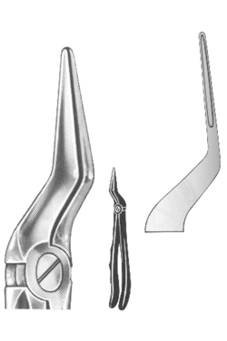 Extracting Forceps English pattern