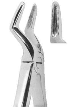 Extracting Forceps English pattern