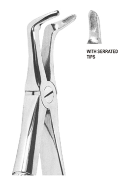 Extracting Forceps English pattern
