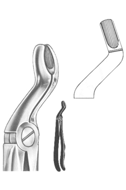 Extracting Forceps English pattern