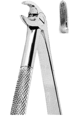 Extracting Forceps American pattern