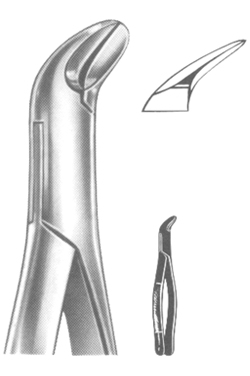 Extracting Forceps American pattern