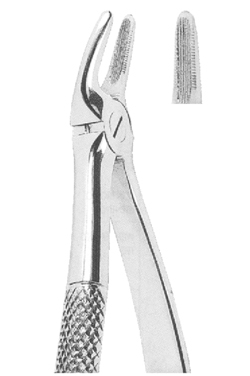 Extracting Forceps American pattern